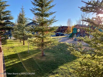 Hicks - yard pic 3