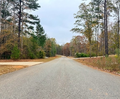 Lot 27 Rolling Meadows Way, Waverly Hall, GA 31831 - photo 4