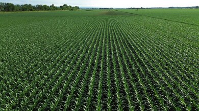 256th and Ditch Rd, Renner, SD 57055 - photo 5