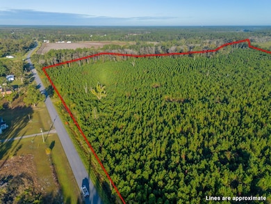 0 Anita St, Waycross, GA 31503 - photo 3