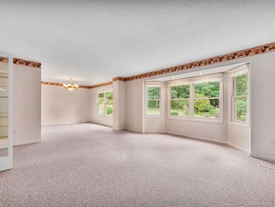 436 Heather Marie Dr, Hendersonville, NC 28792 - photo 6