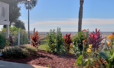 FrontGarden1