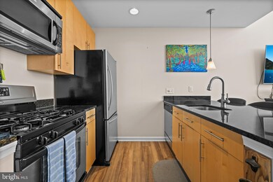 The Spectrum unit 617, Falls Church, VA 22046 - photo 7