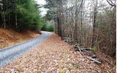 L288 Evening Shadows Rd, Morganton, GA 30560 - photo 2