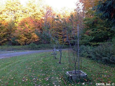 Yard. Absolutely bucolic setting - fruit trees, ga