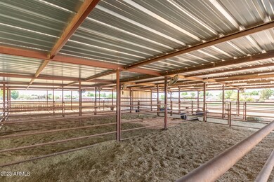 9 stalls with fans
