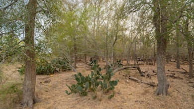 Tbd Cr 3158, McMahan, TX 78616 - photo 3