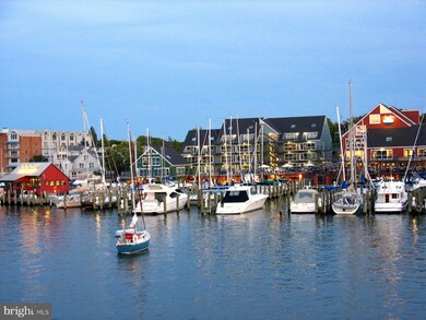 115 Chester Ave, Annapolis, MD 21403 - photo 3