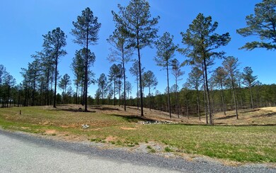 Additional View