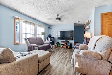 1114 E Station Rd, Sheridan, MI 48884 - photo 5