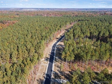 View of bird's eye view