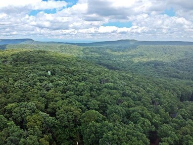 N Shivas Crest Lot 59DJI_0077