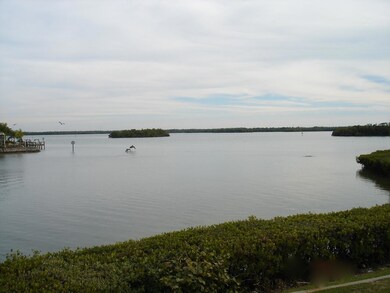 L.R. Picture Window View
