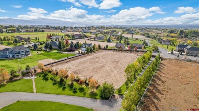 Lot 2 Nectar Ct, Montrose, CO 81403 - photo 5