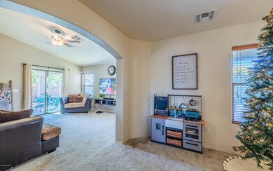 Calle Franja Verde-17