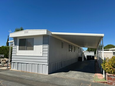 IMG_5233 2