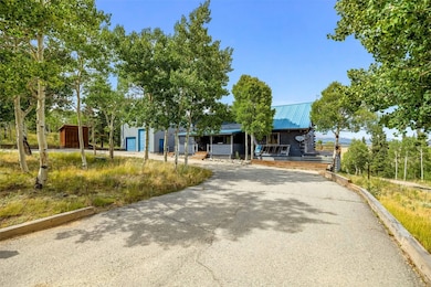 597 Sheep Ridge Rd, Fairplay, CO 80440 - photo 3