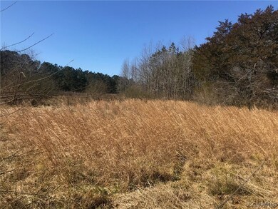 4AC General Mahone Blvd, Ivor, VA 23866 - photo 3