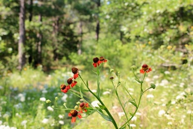 000 Tram Tr, Rattan, OK 74562 - photo 2
