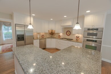 1229 Atlas Ln, Naperville, IL 60540 - photo 5