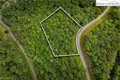 TBD Lot 122 Firethorn Trail, Blowing Rock, NC 28605 - photo 4