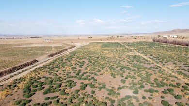 DJI_0038