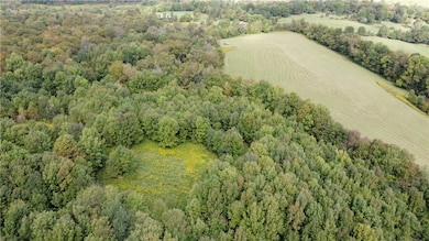 19.221 Turnpike Rd, East Meredith, NY 13757 - photo 2