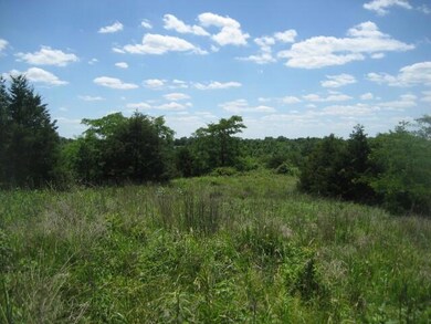 IMG_0424 (Small)