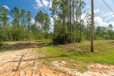 Herman_Ladner_Road_Lot_4-4