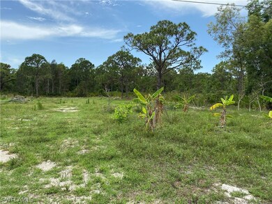 11891 Oscoda Ct, Pine Island Center, FL 33922 - photo 3