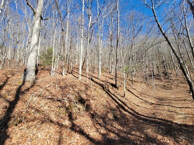 00 Forest Dr, Franklin, NC 28734 - photo 5