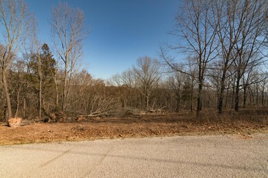 4 ByPassLoopLots10BransonWestMO-2