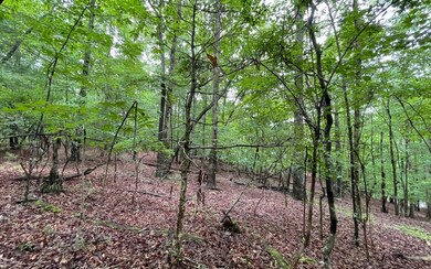 Additional View