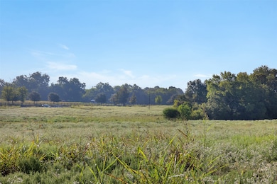 Lot 2 Brown College Ln, Washington, TX 77880 - photo 5