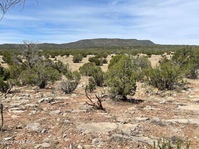 54496 N Calle Reposa, Seligman, AZ 86337 - photo 5