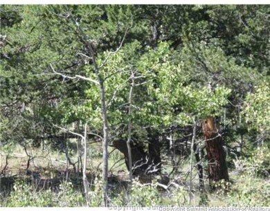 825 Osprey Rd, Como, CO 80432 - photo 5