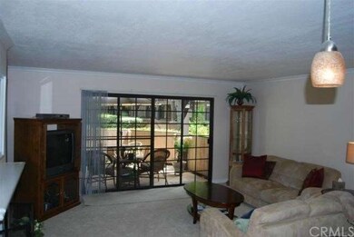 Living room and exterior patio area