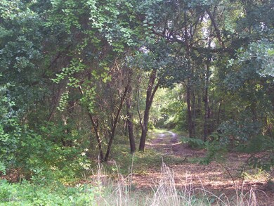 Hall Lake Drive