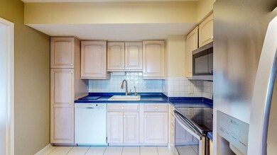 250 Hammond Pond Pkwy unit 610N, Chestnut Hill, MA 02467 - photo 6