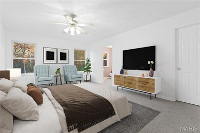 6450 Timber Lane Dr, Mascoutah, IL 62258 - photo 5