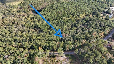 DJI_20240813232127_0031_D