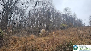 4057 Sherry Hill Rd, Hellertown, PA 18055 - photo 2