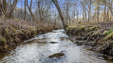 198 Pine Knot Ln, Mineral Bluff, GA 30559 - photo 2