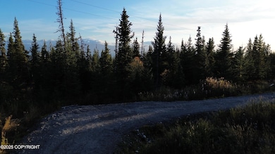 54533 Winchester Ave, Fritz Creek, AK 99603 - photo 3