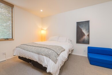 Lower Level Guest Bedroom