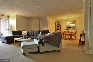 621 Admiral Dr unit 208, Annapolis, MD 21401 - photo 5