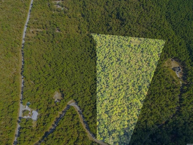 000 Dwight Little Rd, Roland, AR 72135 - photo 6