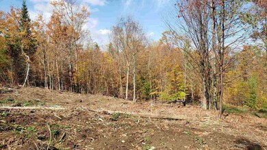 0 Derricks Dr unit 3 4935140, Wheelock, VT 05851 - photo 7