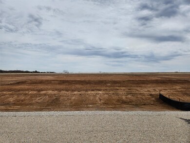 181 Lonicera Ln, Paradise, TX 76073 - photo 4