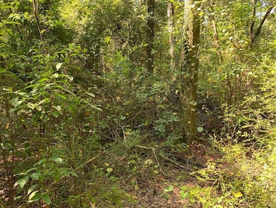 0 Parramore Shores Rd unit 389057, Tallahassee, FL 32310 - photo 4